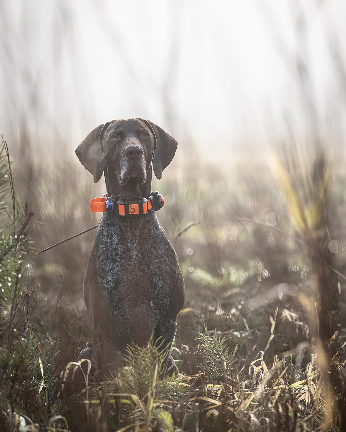 Kundenfoto von der Jagd