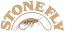 Stonefly