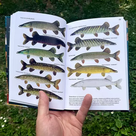 Suomen Kalalajien Tunnistusopas - Drucksachen - 9789511486510 - 2