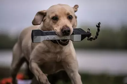 ASD Perfect Hold Dummy 3" Flasher - Trainingsdummys - 0700905027460 - 2