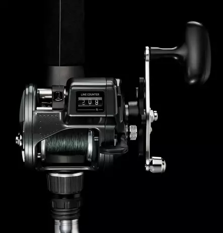 Daiwa Accudepth 20LC - Meerfischerei- und Schlepprollen - 043178922910 - 2
