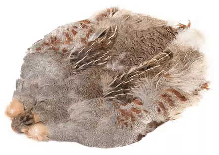 Wapsi #1 Hungarian Partridge Skin - Häute, Flügel und Köpfe - 762820008690 - 1