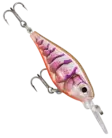 Rapala X-light Shad 4cm - Wobbler <6 cm - 2709202410 - 12