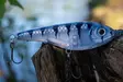 Buster Jerk Slow Sinking Monkey Lure Factory 2024 - Klassische Jerkbaits - 34002000 - 6
