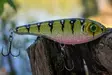 Buster Jerk Slow Sinking Monkey Lure Factory 2024 - Klassische Jerkbaits - 34002000 - 5