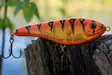 Buster Jerk Slow Sinking Monkey Lure Factory 2024 - Klassische Jerkbaits - 34002000 - 4