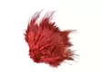 Frödinflies Pheasant Rump Feathers - Andere Federn und Plüme - 40404503010 - 10