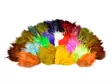 Frödinflies Pheasant Rump Feathers - Andere Federn und Plüme - 40404503010 - 1