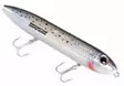 Heddon Super Spook Jr 10cm - Oberflächenköder - 340017901770 - 5