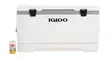 Igloo Marine Ultra 95l Cooler White - Kühlboxen - 0034223495480 - 4