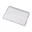 Mikado Hard Boilie Stoppers Transparent - Köderstopper - 5900637680550 - 1