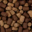 Mikado O'Fish Fish Betaine 8mm - Wafter, Hakenpellets & Mini-Boilies - 5900637150510 - 5