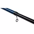 Mikado Trython Bolognese 5,00m max 25g - Bolognese-Ruten - 5900637067320 - 4
