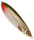 Rapala Rattlin Minnow Spoon 8cm 16g - Löffel 15-30 g - 022677233550 - 25