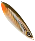 Rapala Rattlin Minnow Spoon 8cm 16g - Löffel 15-30 g - 022677233550 - 26