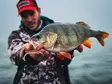 VMC Dart Jig Matt Craw - Jig-Köpfe - 3422993062600 - 3