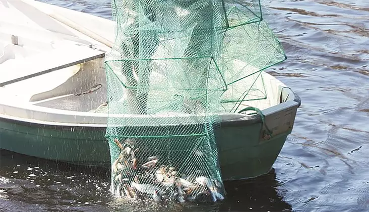 Aapo Kalatupa 5M - Fischfallen - 6418252939100 - 2