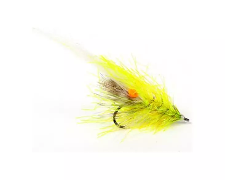 Alive Reke Chartreuse #6 - Garnelen und Flohkrebse - 7033840135710 - 1