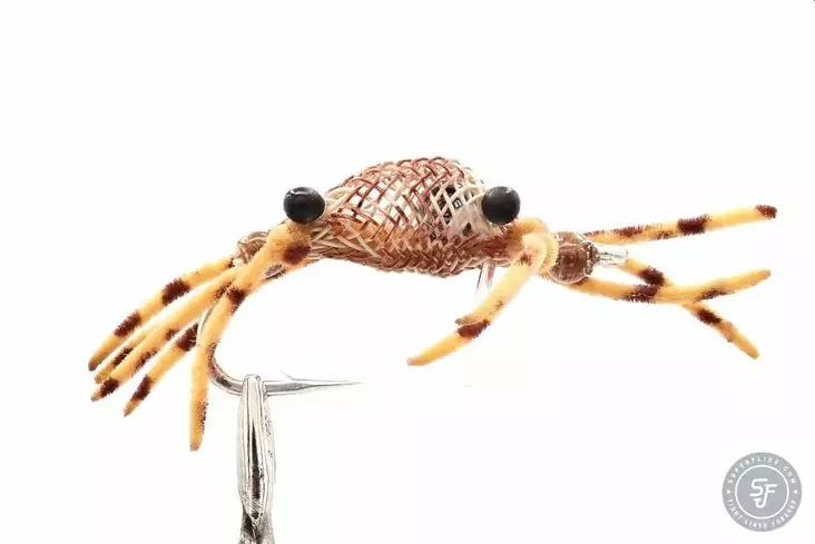 Alphlexo Crab Tan Stripe - Garnelen - 8859202531070 - 1