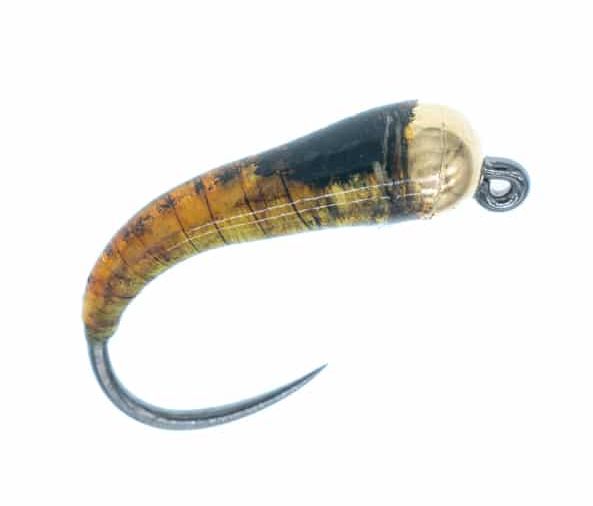 Glue Larva with Gold Bead - Nassfliegen - 8859202210 - 1