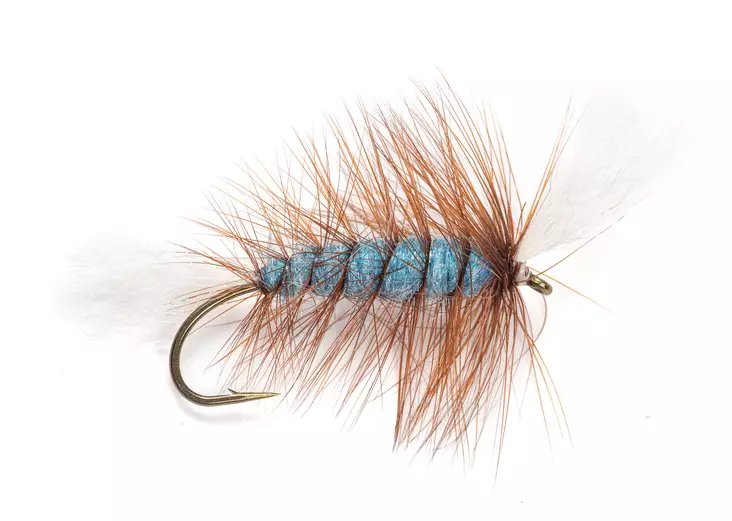 Pompero Labatt Blue - Lachsfliegen - 8859202532510 - 2