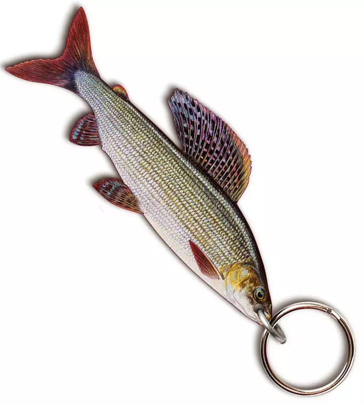 Sakke Yrjölä fish key ring - Drucksachen - 202501294560 - 1