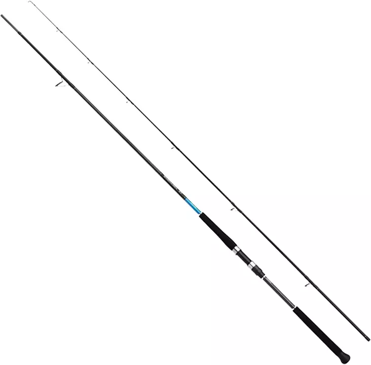Shimano Bassterra XT Shore Jigging 9'6" 20-80g - Seabass-Ruten - 8717009888790 - 1