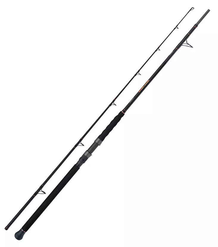 Shimano Beastmaster AX Catfish Multi 230cm 200g Spinning 2pc - Salzwasser-Spinnruten - 8717009868310 - 1