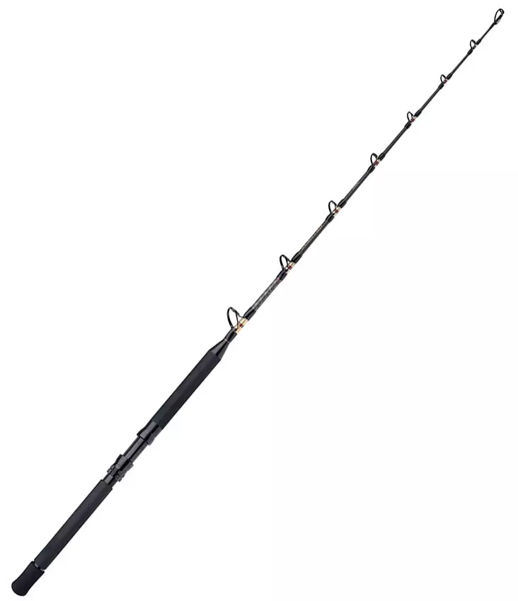 Shimano TLD B Standup 5'5" 30lb 1pc - Meeresruten für das Tiefseeangeln - 8717009868600 - 1