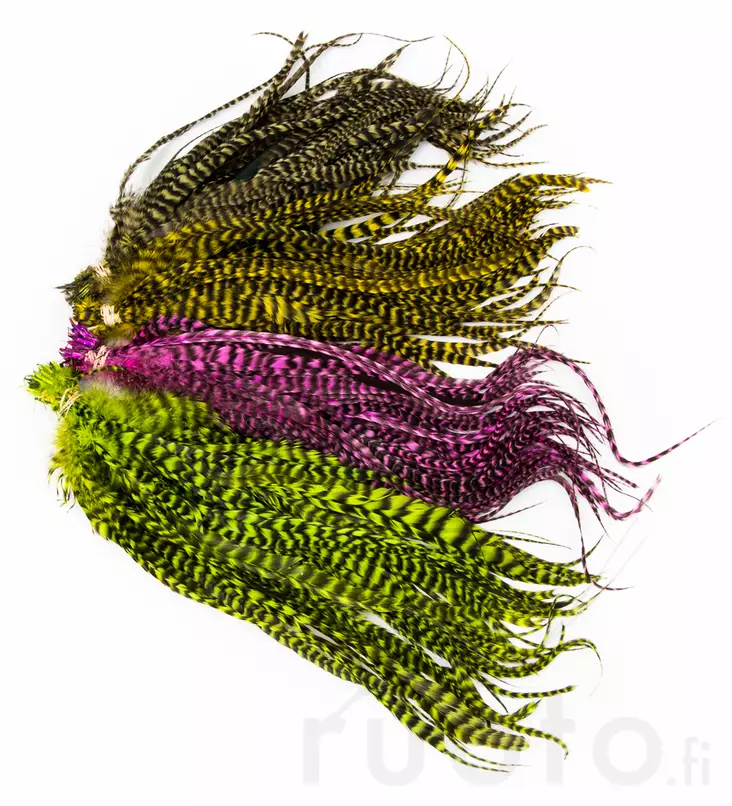 Whiting Schlappen Bundle 6-10in - Andere Federn und Plüme - 4045030000010 - 1