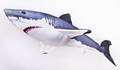 Gaby Great White shark 120cm - Plüschfisch - 5905279175761 - 2