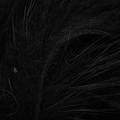 Silvergrey Nutria Zonker Strips - Zonkers - 40500200221 - 2