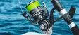 Daiwa 20 BG MQ - Große Salzwasser-Spinnrollen - 043178595831 - 6