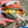 Daiwa Prorex Lazy Shad 20 - Weichköder für Hechte über 100g - 251020221 - 20