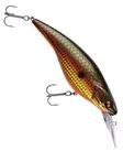 Daiwa PX Flat Bait 150mm - Wobbler über 10 cm - 0903202411 - 2
