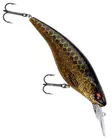 Daiwa PX Flat Bait 150mm - Wobbler über 10 cm - 0903202411 - 8