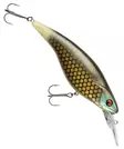 Daiwa PX Flat Bait 150mm - Wobbler über 10 cm - 0903202411 - 9