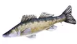 Gaby Giant Zander 110cm - Plüschfisch - 5905279175211 - 1