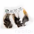 Hareline Coq De Leon - Andere Federn und Plüme - 40450200501 - 6