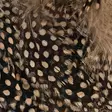 Strung Guinea Feathers - Andere Federn und Plüme - 40400400041 - 17