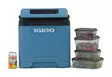 Igloo IE27 Thermoelectric Cooler 12V/230V 27 l Blue - Kühlboxen - 7315091520171 - 7