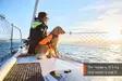 Non-stop Dogwear Protector Life Jacket - Hundewesten und -kleidung - 7071652173421 - 9