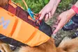 Non-stop Dogwear Protector Life Jacket - Hundewesten und -kleidung - 7071652173421 - 8