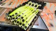 Polarbite Beta Shad - Weichköder für Hechte über 100g - 14012021 - 18