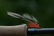 Pro Sportfisher Pro Jungle Cock Bulk - Jungle Cock und Ersatz - 671227926901 - 3
