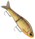 Rapala Super Shadow Rap Glide 16cm 86g - Klassische Jerkbaits - 1803202451 - 14