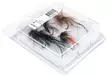 Salmon Flies Selection - Finland Special - Fliegen-Sortimente - 8859202531391 - 3