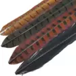 Soldarini Pheasant Tail - Andere Federn und Plüme - 2025011741 - 1