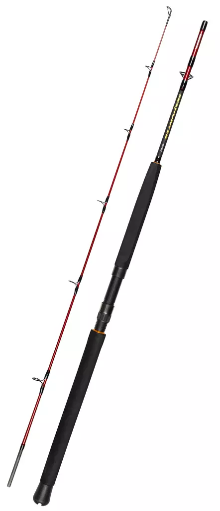 Daiwa Seahunter Spin - Meeresruten für das Tiefseeangeln - 5055545246401 - 1