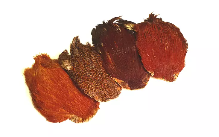 FTS Indian Cock Cape - Andere Hälse und Sattelfedern - 6417512011 - 1